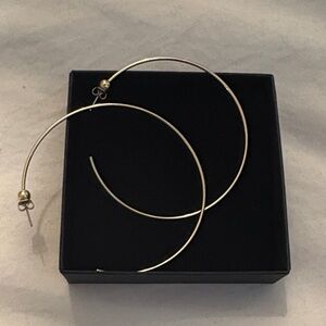 Jenny Bird Icon hoops